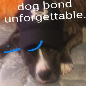 Meet your Posher, Sean